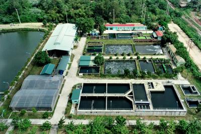 Shareholder relations